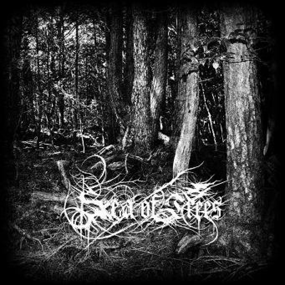 Last trees. Black Metal Tree. DSBM Forest горит.